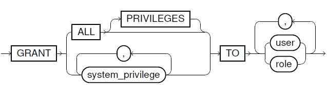 Grant System Privileges