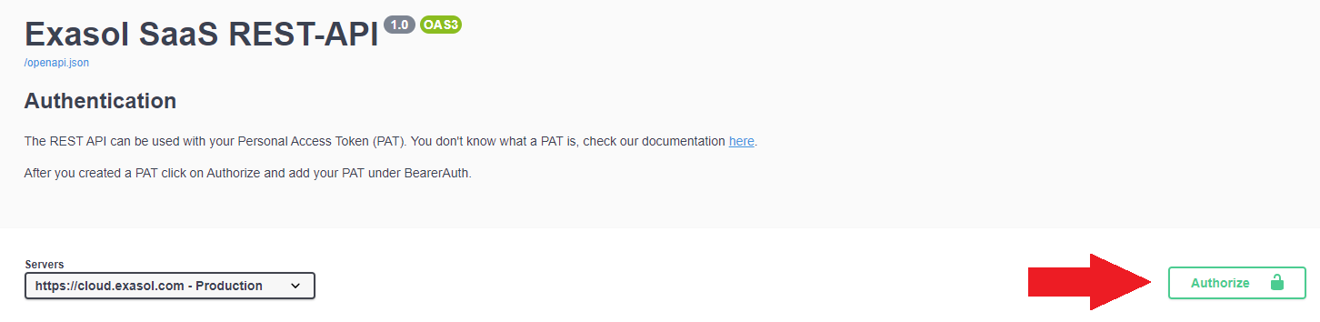 authorize in swagger ui