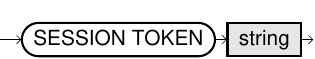session token syntax