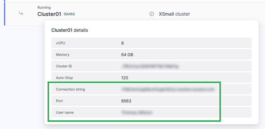 saas cluster details