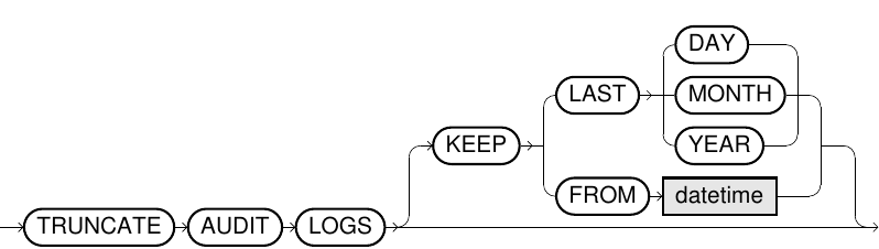 Truncate audit logs statement